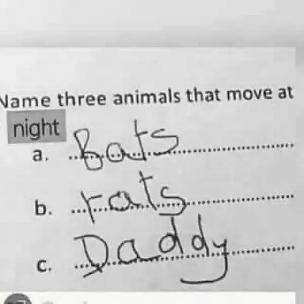 A Student Was Asked To Name 3 Animals That Move At Night, The Answer Was Hilarious